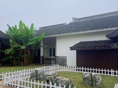 -杭州湾海上花田景区