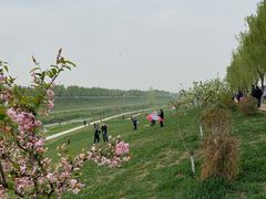 -洨河生态公园
