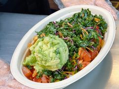 -油梨树AVOCADO TREE(顺义新国展店)