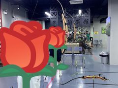-蓝天射箭馆·专业射箭运动(诚丰广场店)