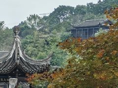 -重庆园博园