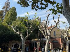 -玫瑰厅上海菜(兴国路店)