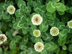 -白塘生态植物园