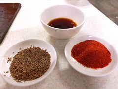 小料-大槐树烤肉馆