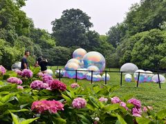 -上海共青森林公园