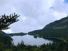 -老字号黄妹火盆烧烤