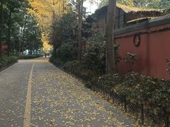 -成都武侯祠博物馆