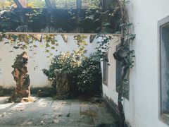 -杭州植物园
