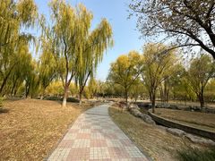 -太阳宫公园