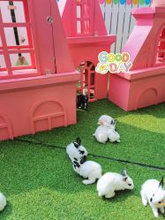 -萌宠亲子动物乐园(槐房万达店)