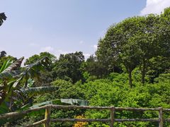 -南山植物园