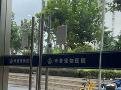 -申普宠物医院·眼科·心内科·影像科(普陀分院)