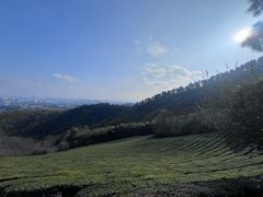 -敬亭山风景名胜区