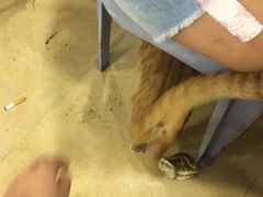 -揭阳钟记小食(福田新村店)
