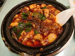 -陈麻婆豆腐总店