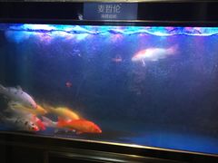 -甄品麦哲伦海鲜和牛自助(万达广场店)