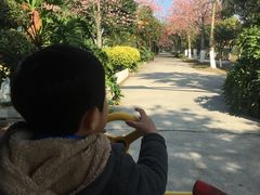 -广东花都香草世界旅游度假区