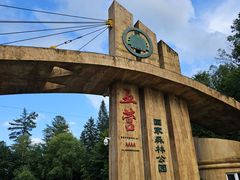 -五营红松林海景区