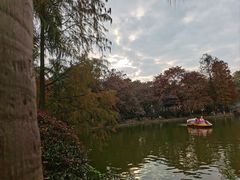 -南宁南湖公园