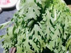 -巴奴毛肚火锅(广益哥伦布店)