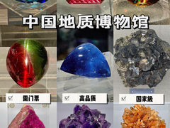 -中国地质博物馆