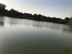-邓丽君音乐主题餐厅