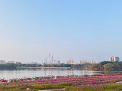 -海珠湖公园