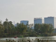 -九科绿洲