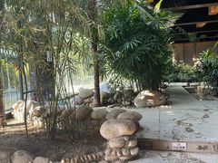 -三江森林温泉度假区