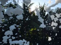 -三亚湾海居铂尔曼度假酒店