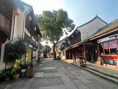-鲁镇