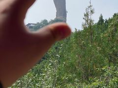 -磬锤峰森林公园
