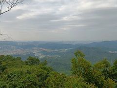 -大屏嶂森林公园