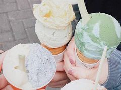地球冰淇淋-Dal Cuore 达可芮冰淇淋(陕西北路店)