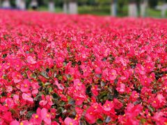 -西宁市人民公园(城西区)