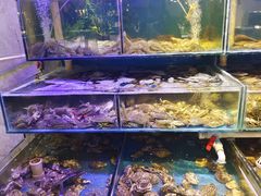 -四海蒸鲜蒸汽海鲜自助(北戴河店)