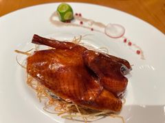 -广州富力君悦大酒店空中花园