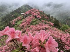 -木兰云雾山