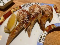 名古屋炸鸡翅-慢走(甜水园店)