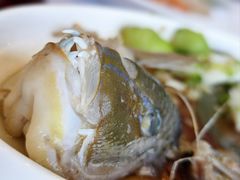 -欢乐海岸美食联盟