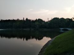 -象山森林公园