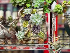 -旧雨咖啡·CoffeeFORU(黄村奥体店)