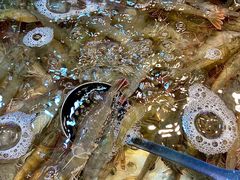 -领鲜活海鲜榴莲自助火锅(东门店)