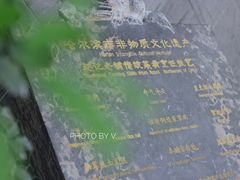 -赵记老铺(市府恒隆广场店)