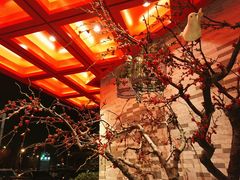 -解家河南菜(商鼎路店)