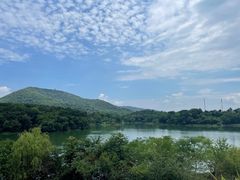 -南京老山国家森林公园
