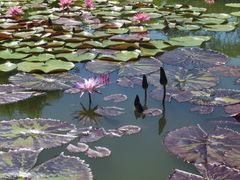 -国家植物园南园