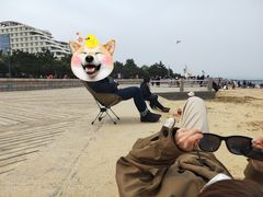 -日照灯塔风景区