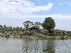 -上海鲜花港