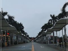 -深圳野生动物园